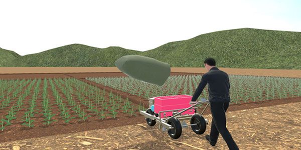 油菜全生育期种植实验