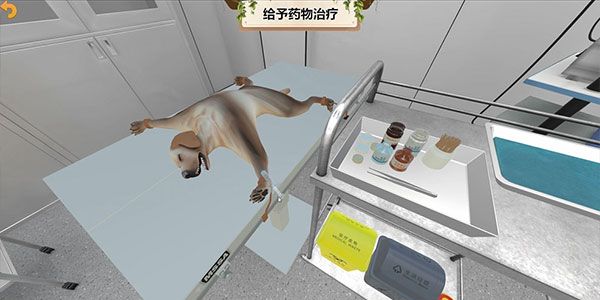 母犬卵巢子宫摘除术