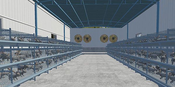 现代兔业养殖技术教学