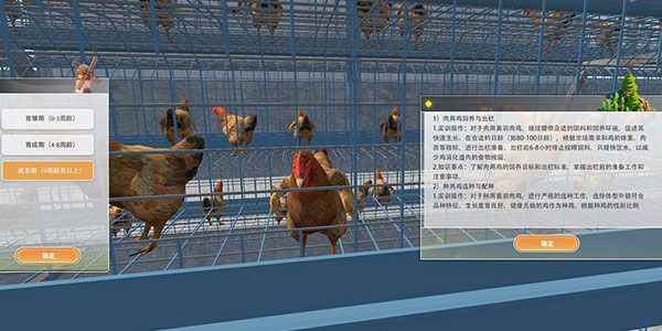 黄羽肉鸡健康养殖实训