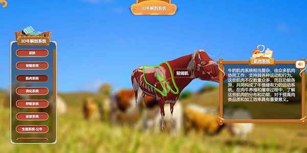 3D牛解剖系统