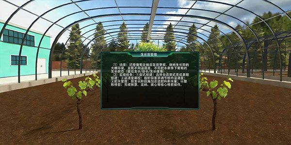 葡萄大棚精细化种植实训系统