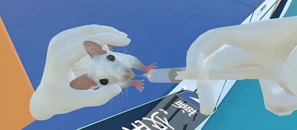 医学寄生虫检测实训