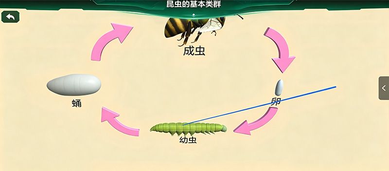 有害昆虫精准识别系统