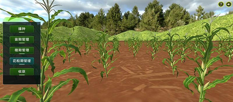玉米全生育期种植实验