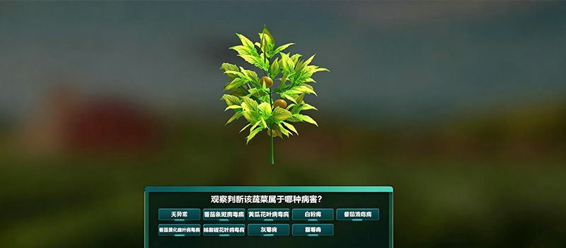 西红柿大棚精细化种植实训系统