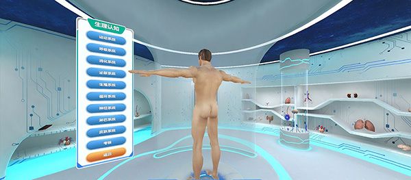 人体解剖结构认知实训